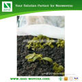 PP Woven Weed Mat/Ground Cover /Weed Barrier Mat for Agriculture